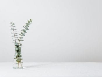 Vitality Bodywork and Massage Office Policies